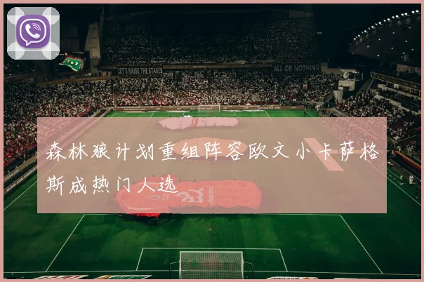 森林狼计划重组阵容欧文小卡萨格斯成热门人选